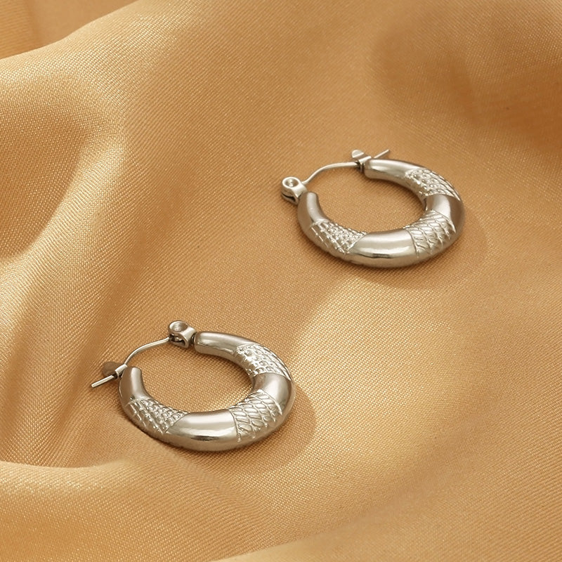 Titanium Steel Hoop Earrings